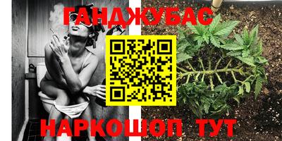 СК Конаково