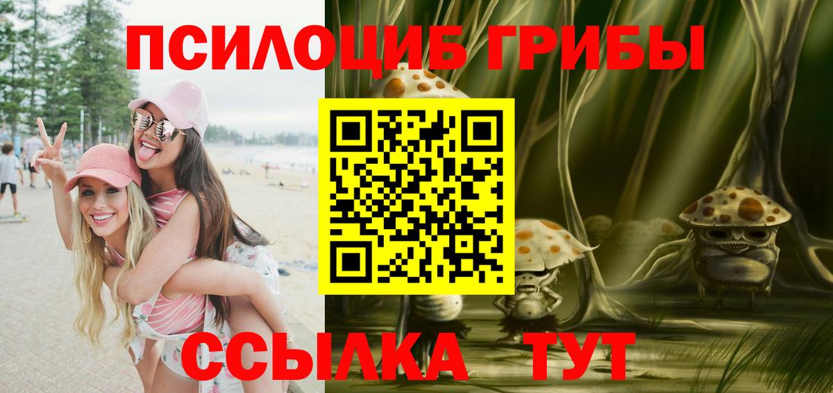 Псилоцибиновые грибы Cubensis  Вход с VPN  Галлюциногенные грибы Psilocybine cubensis  Кинель 